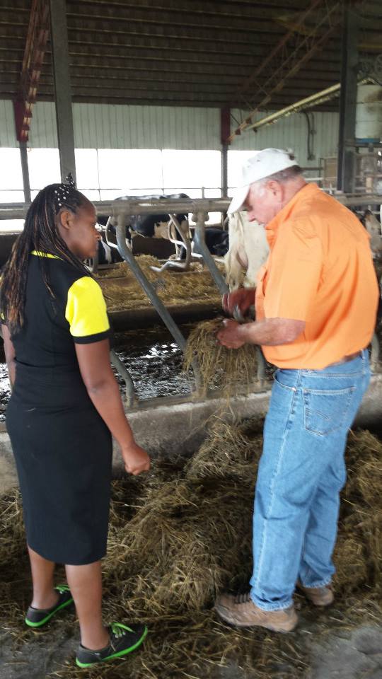 Two Exciting New Projects