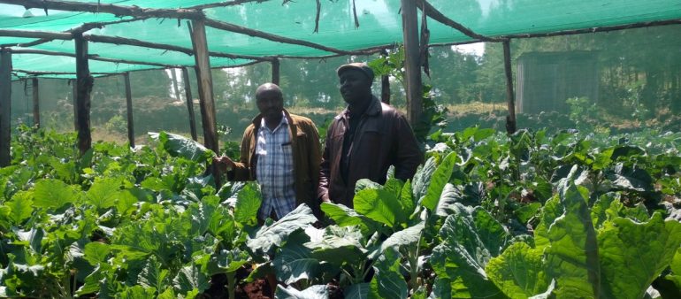 Twinned school profile: MUUTI-O-NTHUNGURI PRIMARY SCHOOL