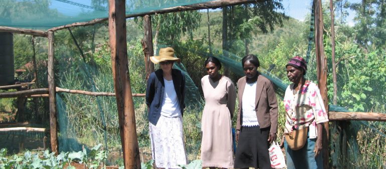 2020 FHF awards handed out virtually