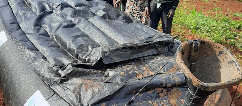 Turning cow manure into fuel in Kenya