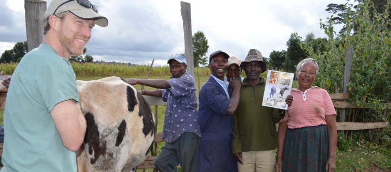 FHF History – Promoting healthier dairy cows since 2004