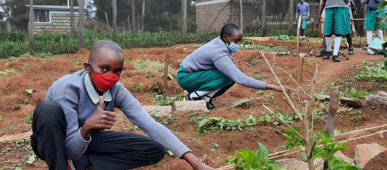 School Nutrition Clubs: Improving community food security