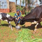 Farmer Helping Farmers launches 2024 Holiday Campaign in support of families in Kenya