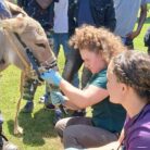 FHF Volunteers in Kenya 2025